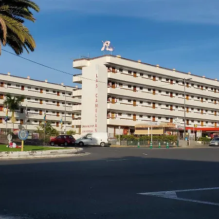 Camelias V19 Apartment