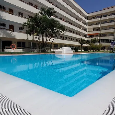 Apartment Camelias V19