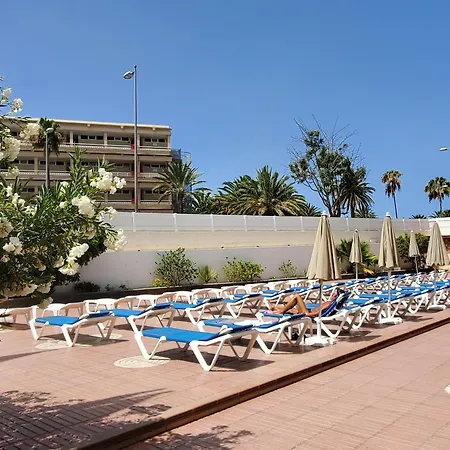 Vivienda Vacacional-las Camelias #e05